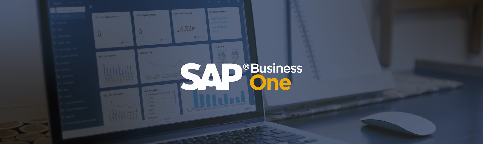 SAP BUSINESS ONE